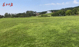 微信图片_20200804135714.gif